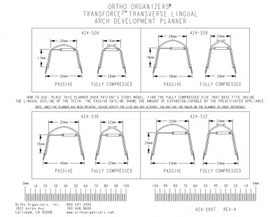 Transverse Arch Development Planner Qty. 1